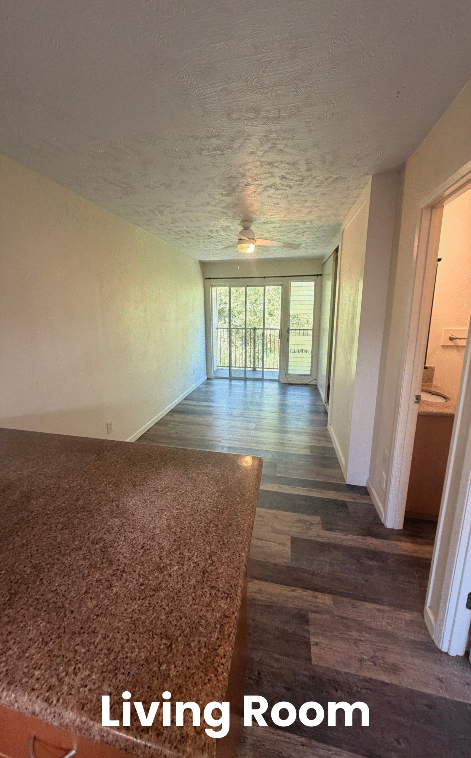 Lanai & Living room